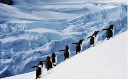 Antarctica