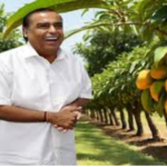 Mango Cultivation Industry: Mukesh Ambani’s Ingression