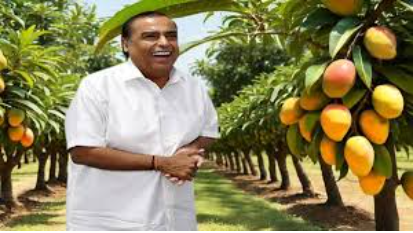 Mango cultivation industry: ingression of Mukesh Ambani