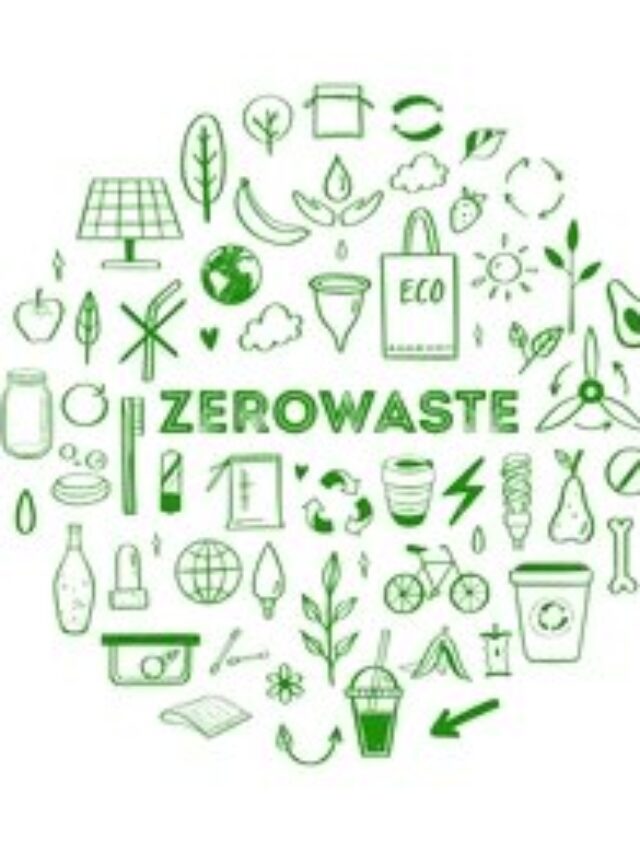 Zero-Waste Lifestyle: Practical Tips and Real-Life Success Stories for Sustainable Living